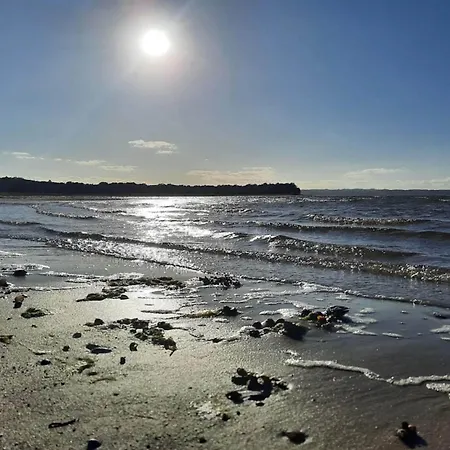 14 Person In Ebeltoft-by Traum